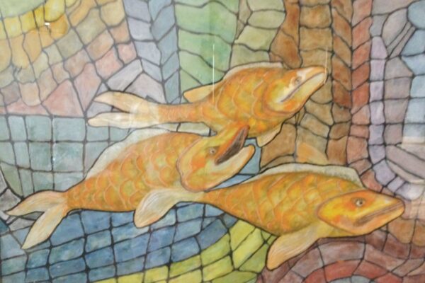 Fish