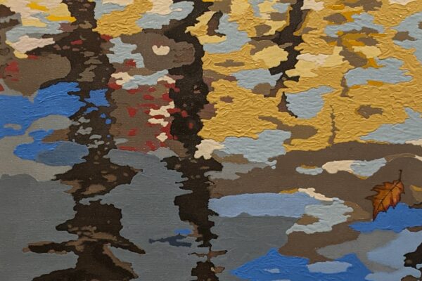 Reflection