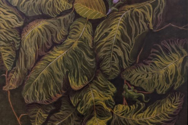 Acanthus Leaves I